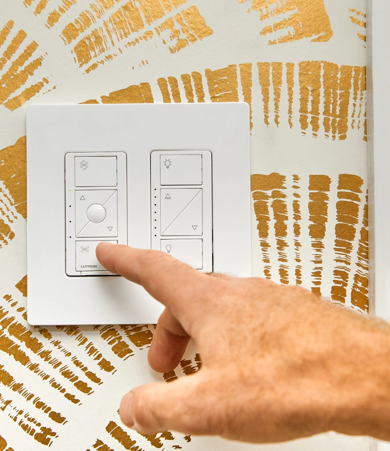 Lutron Installer Cleaner Lighting Control Keypad